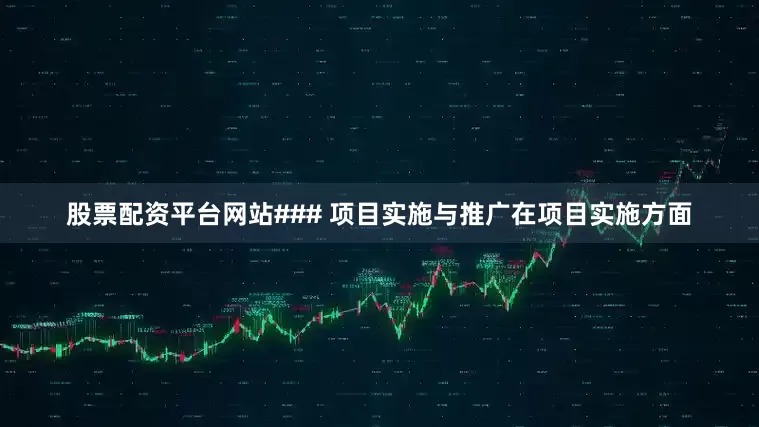 股票配资平台网站### 项目实施与推广在项目实施方面