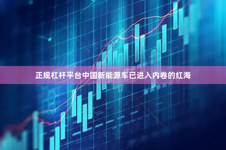 正规杠杆平台中国新能源车已进入内卷的红海