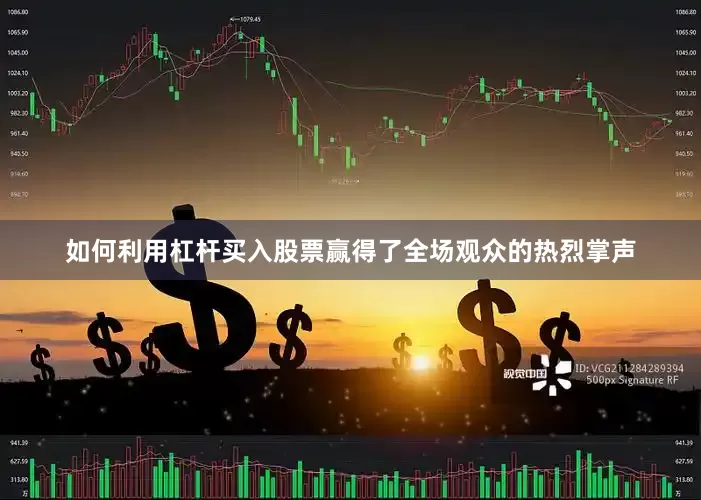 如何利用杠杆买入股票赢得了全场观众的热烈掌声