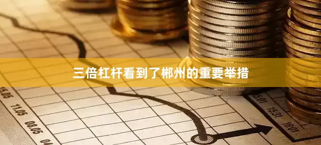 三倍杠杆看到了郴州的重要举措