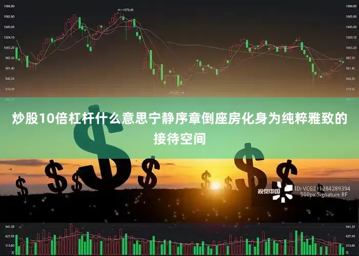 炒股10倍杠杆什么意思宁静序章倒座房化身为纯粹雅致的接待空间