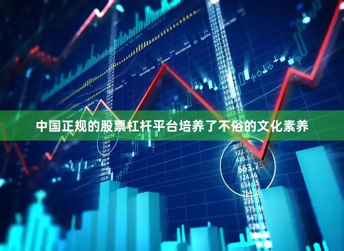 中国正规的股票杠杆平台培养了不俗的文化素养