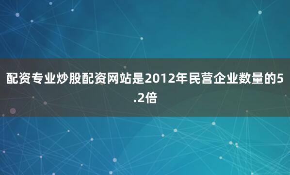 配资专业炒股配资网站是2012年民营企业数量的5.2倍
